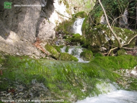 tratto del torrente Corvaro, presso La Piletta dove forma una  serie di piccole cascate.