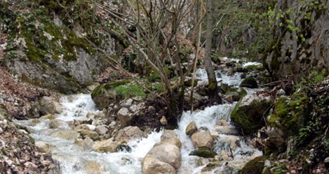 Il torrente stagionale Valle Amara