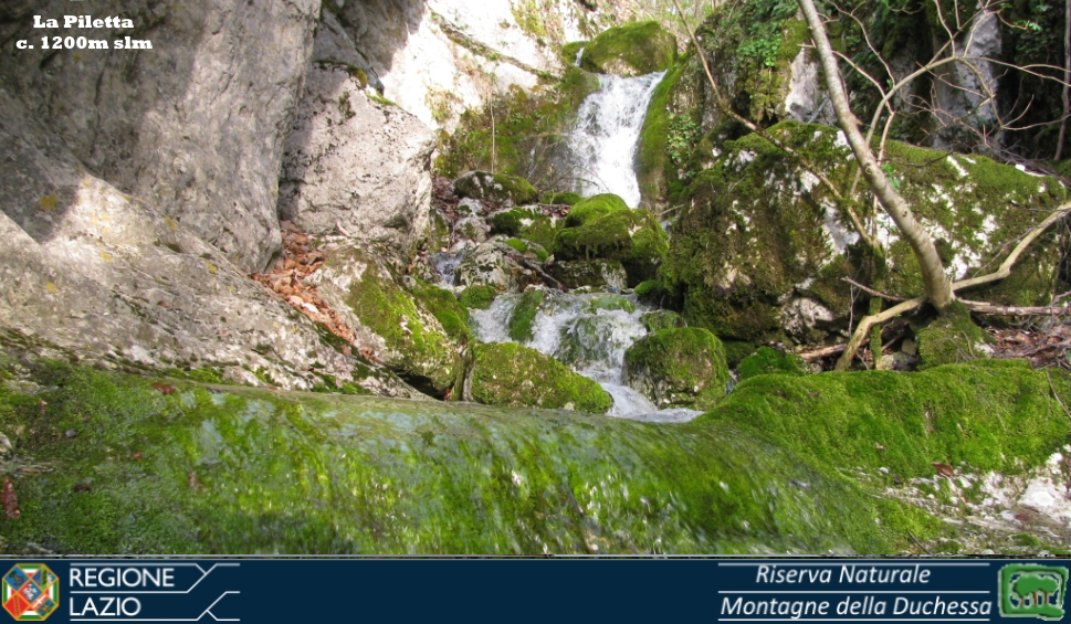 In foto il torrente Corvaro presso La Piletta