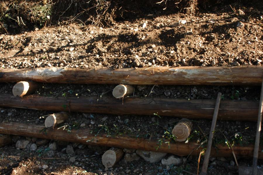 Foto Cantiere d'ingegneria  Naturalistica