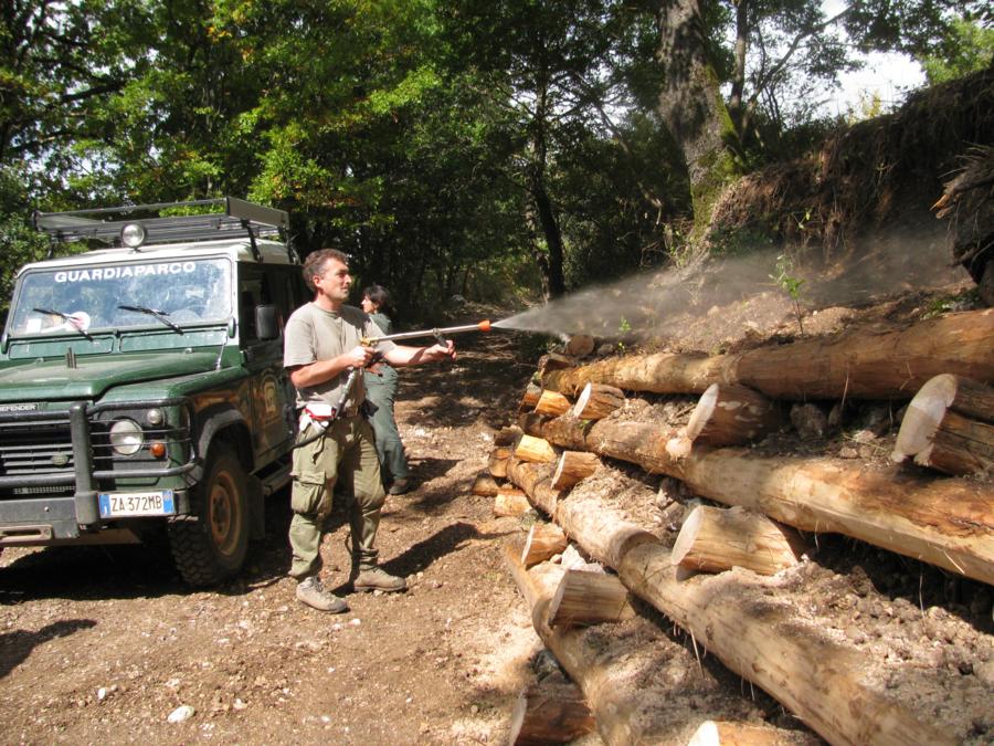 Foto Cantiere d'ingegneria  Naturalistica