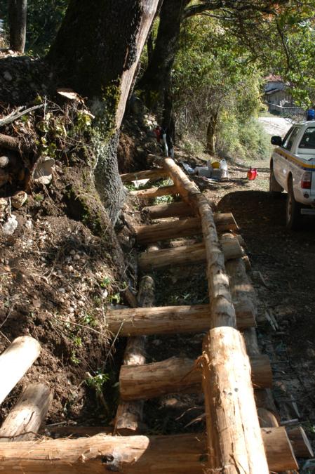 Foto Cantiere d'ingegneria  Naturalistica