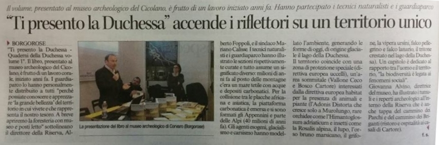 Articolo dell\'evento sul 
