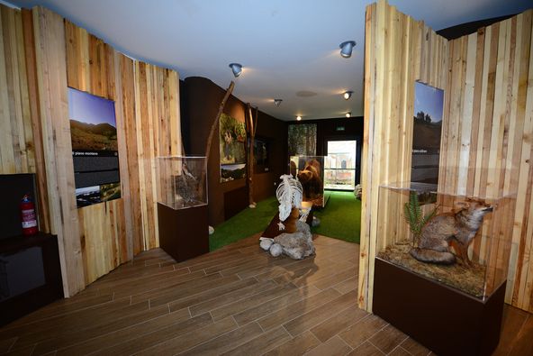 Interno del Museo della Duchessa