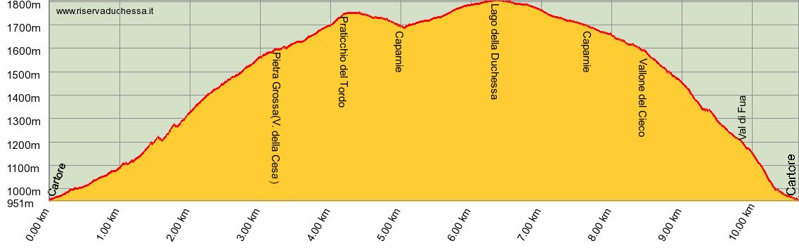 Profilo altimetrico del percorso