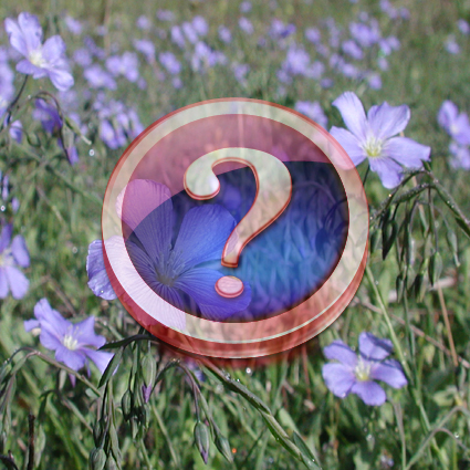 Immagine link al quiz sul fiore con grado difficile