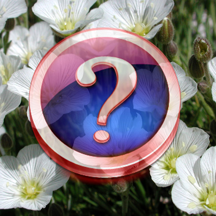Immagine link al quiz sulla pianta grado difficile