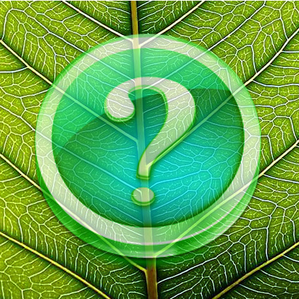 Immagine link al quiz sulla foglia grado facile