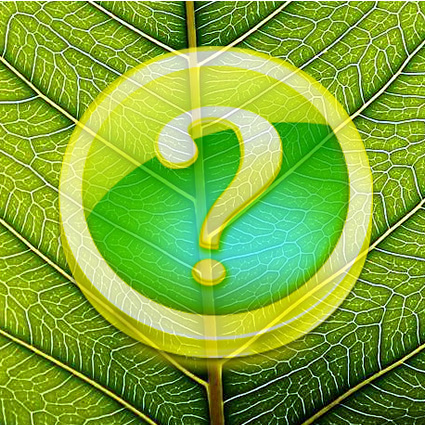 Immagine link al quiz sulla foglia grado medio