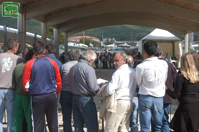 Mostra Equina 2004, Corvaro di Borgorose (RI), Ottobre 2004