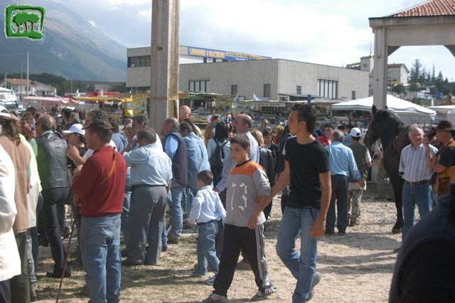Mostra Equina 2004, Corvaro di Borgorose (RI), Ottobre 2004