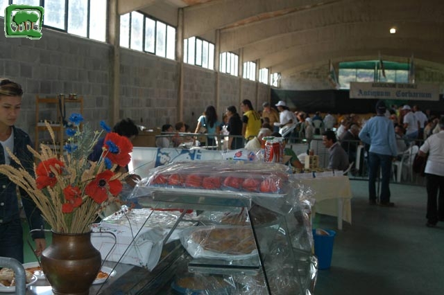 Mostra Equina 2004, Corvaro di Borgorose (RI), Ottobre 2004