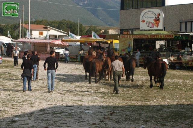 Mostra Equina 2004, Corvaro di Borgorose (RI), Ottobre 2004