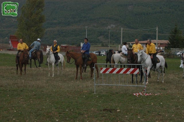Mostra Equina 2004, Corvaro di Borgorose (RI), Ottobre 2004