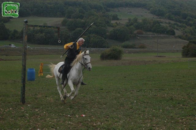 Mostra Equina 2004, Corvaro di Borgorose (RI), Ottobre 2004