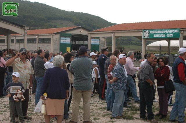 Mostra Equina 2004, Corvaro di Borgorose (RI), Ottobre 2004
