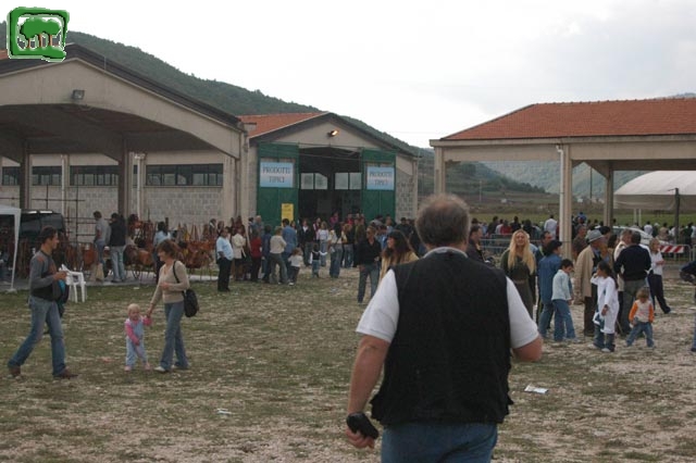 Mostra Equina 2004, Corvaro di Borgorose (RI), Ottobre 2004