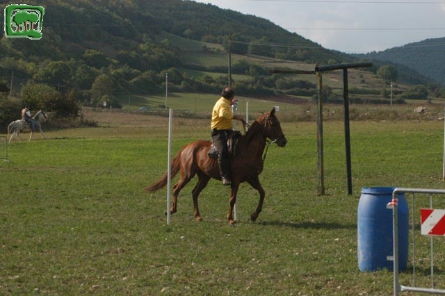 Mostra Equina 2004, Corvaro di Borgorose (RI), Ottobre 2004