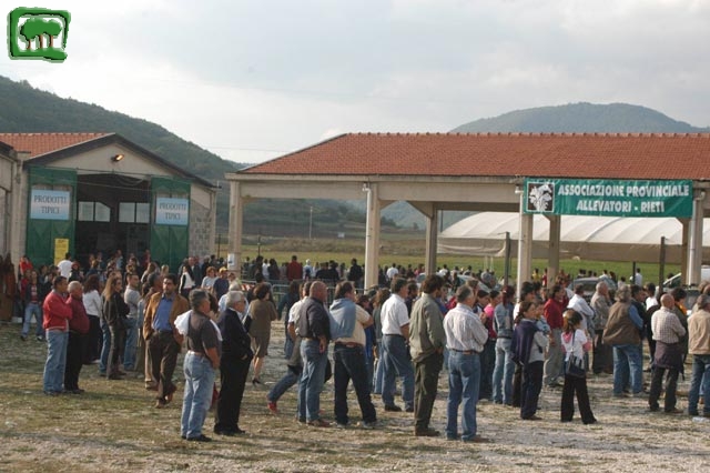 Mostra Equina 2004, Corvaro di Borgorose (RI), Ottobre 2004
