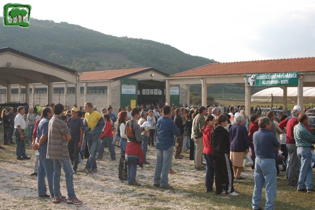 Mostra Equina 2004, Corvaro di Borgorose (RI), Ottobre 2004