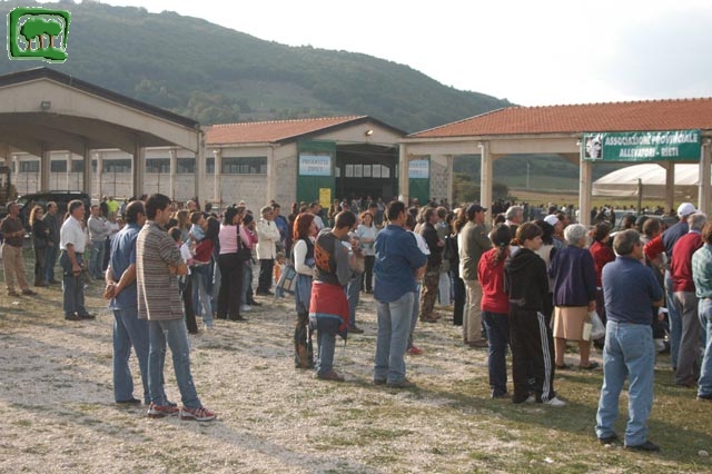 Mostra Equina 2004, Corvaro di Borgorose (RI), Ottobre 2004