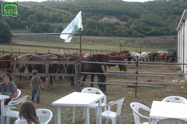 Mostra Equina 2004, Corvaro di Borgorose (RI), Ottobre 2004