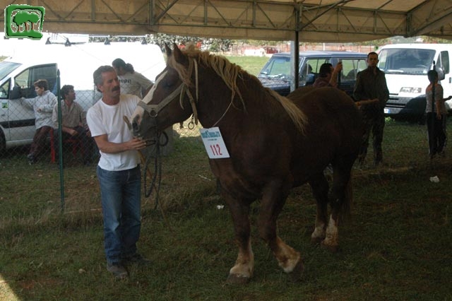 Mostra Equina 2004, Corvaro di Borgorose (RI), Ottobre 2004