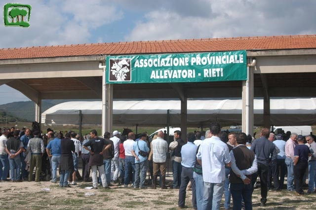 Mostra Equina 2004, Corvaro di Borgorose (RI), Ottobre 2004