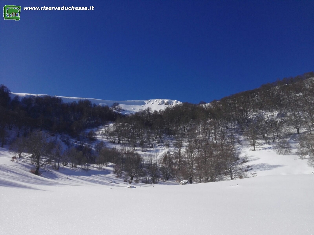 13 Prateria antistante i rifugi