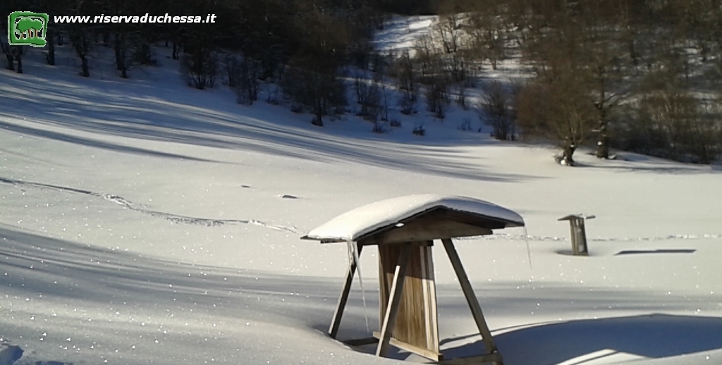 19 Altezza neve
