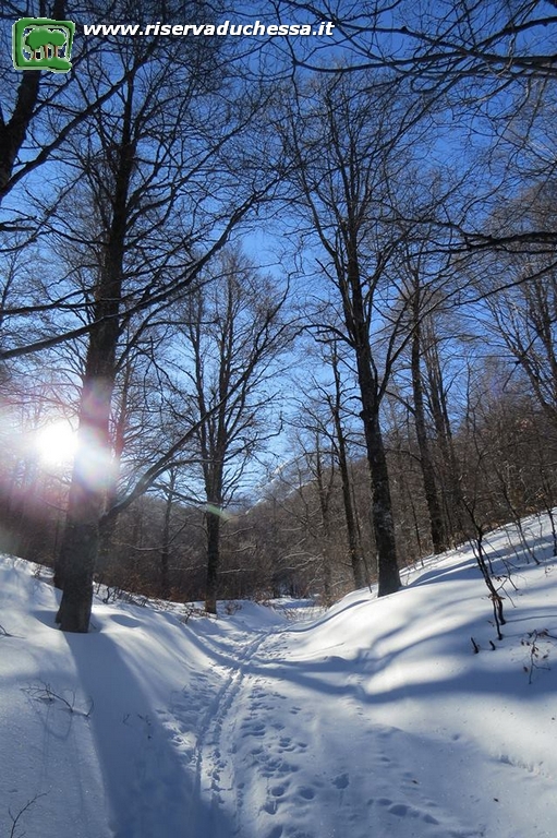 1 Carrabile lungo Fossa Conca con neve