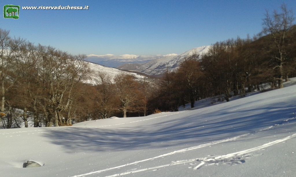 2 Vista dai Rifugi di Fossa Conca