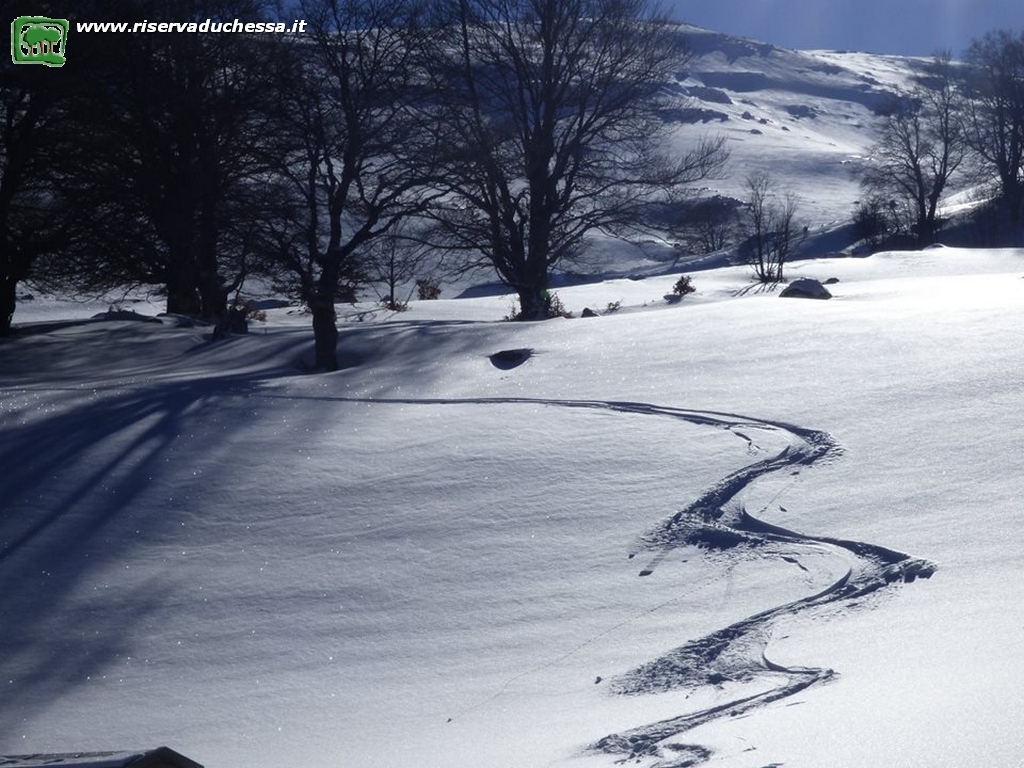 9 Traccie di sci sulla neve