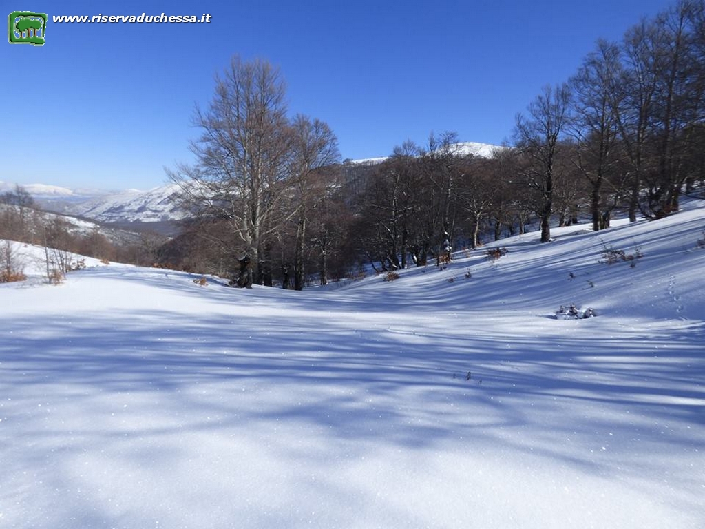 10 Veduta a NE dal rifugio nord con il Monte Ginepro in bella vista