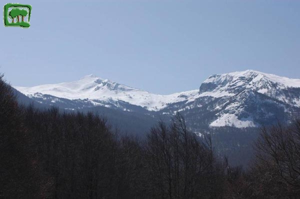 Il Costone (2239m slm) e la Punta dell'Uccettu (2006m slm) visti fai Prati di cerasuolo