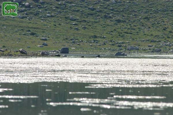 Il Lago della Duchessa (1788m.) (4)