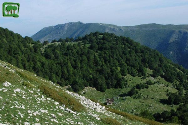Panorama dei rifugi presso Fonte La Vena(1780m.)
