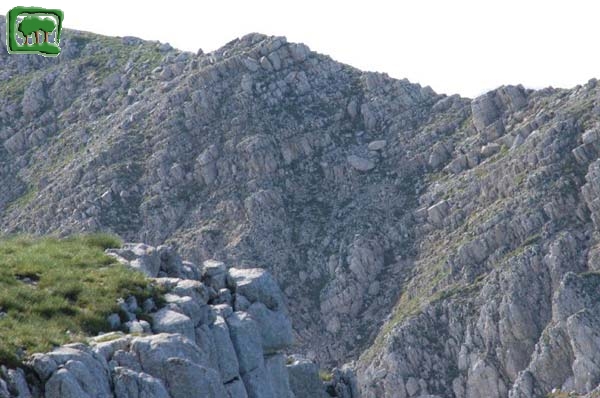 Sul Crinale del Monte Morrone (oltre i 2000m.) (2) 
