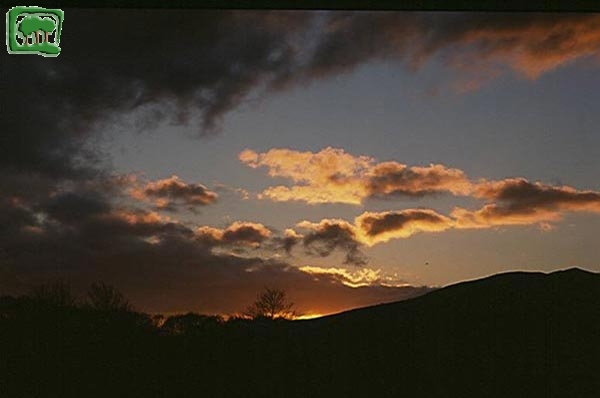 Un tramonto in Riserva 