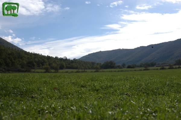 I prati nel fondo valle della zona di Cartore