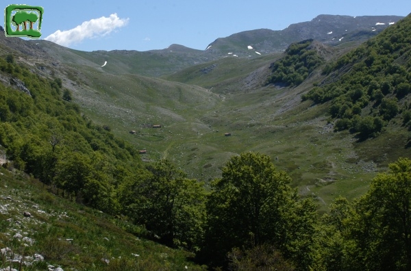 Veduta della loc. Caparnie(c. 1750m. s.l.m.) dal Praticchio del Tordo