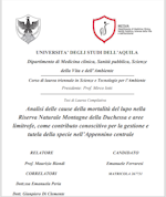 Immagine del frontespizio della pubblicazione - 2024 Tesi di Ferraresi Emanuele