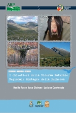 Libro chirotteri