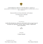 Immagine del frontespizio della pubblicazione - Tesi PhD Mantoni